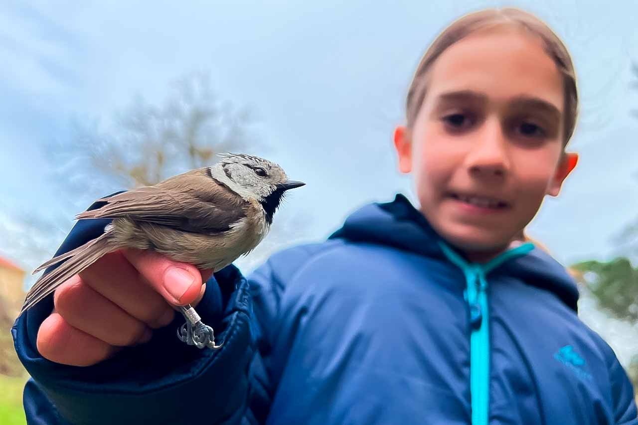 anillamiento-de-pajaros-en-barcelona-op-emma