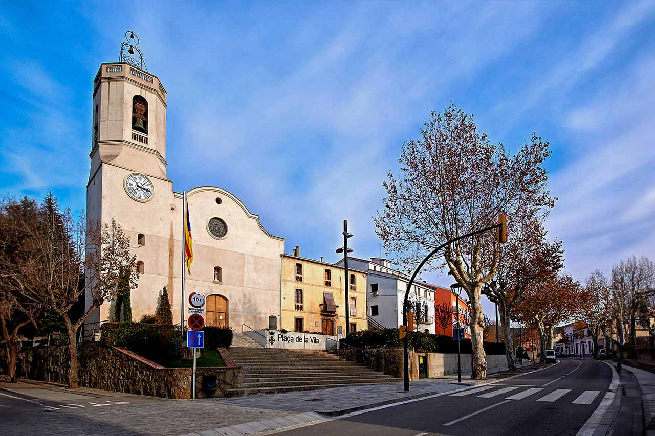 vallgorguina