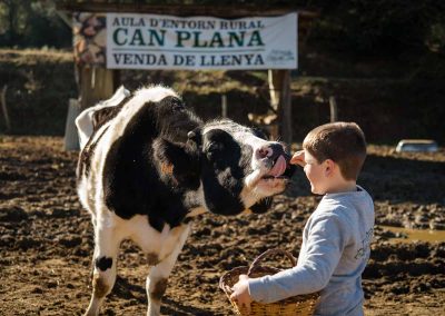Visitar una granja en barcelona