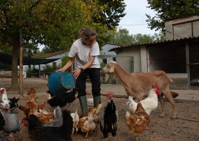 Visitar una granja en barcelona
