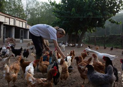 Visitar una granja en barcelona