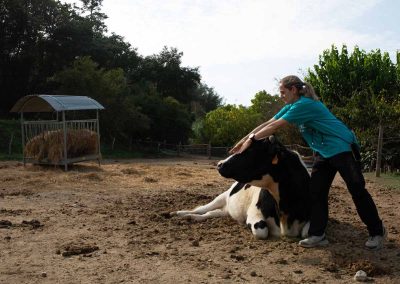 Visitar una granja en barcelona