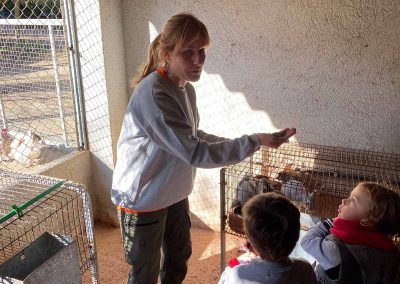 Visitar una granja en barcelona