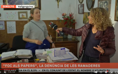 ELS MATINS DE TV3 · Excès de burocràcia campanya «Foc als papers» de Ramaderes de Catalunya