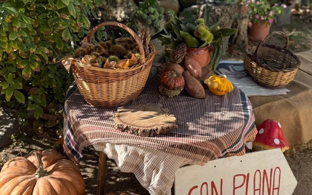 La Castañada en Granja Can Plana: una aventura de otoño para disfrutar en familia